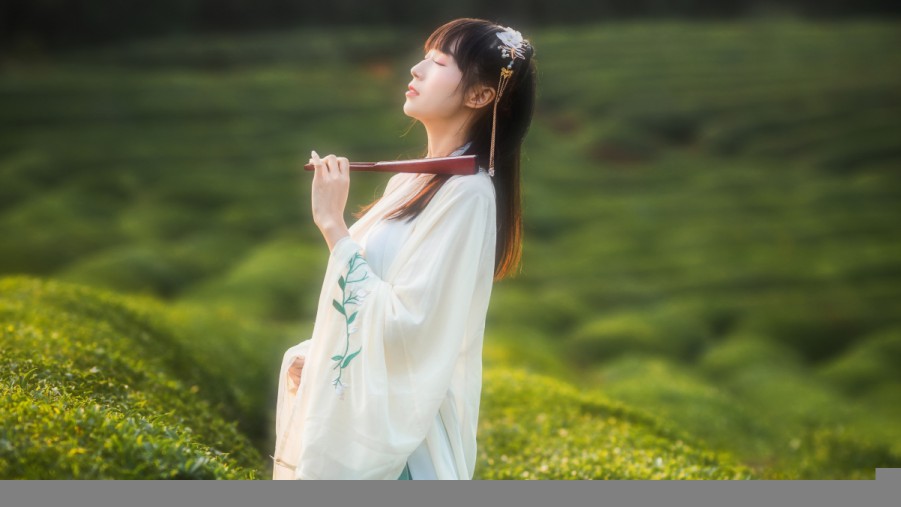 年轻人高清在线观看免费·无需会员免费看|老司机都懂
