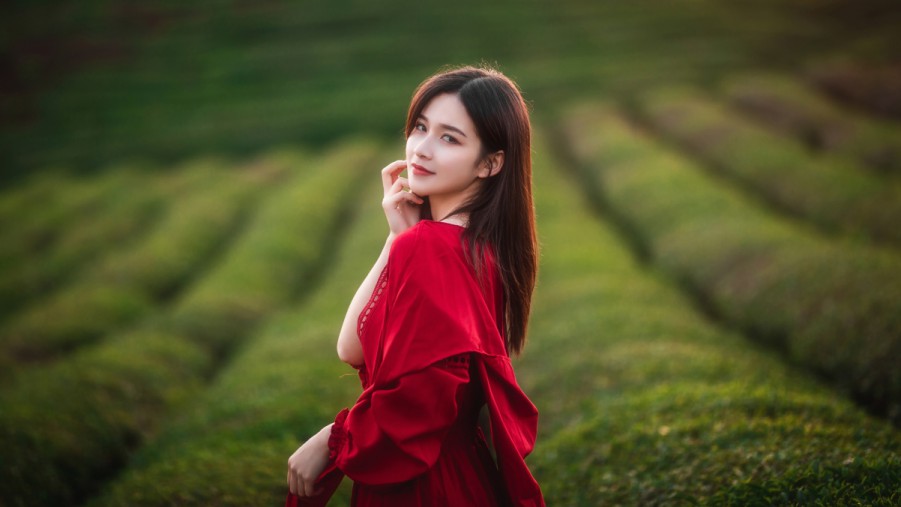 年轻人高清在线观看免费高清在线观看海报